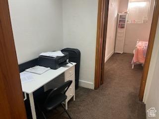 50 W 100 N, Salina, UT 84654 - office with dark carpet