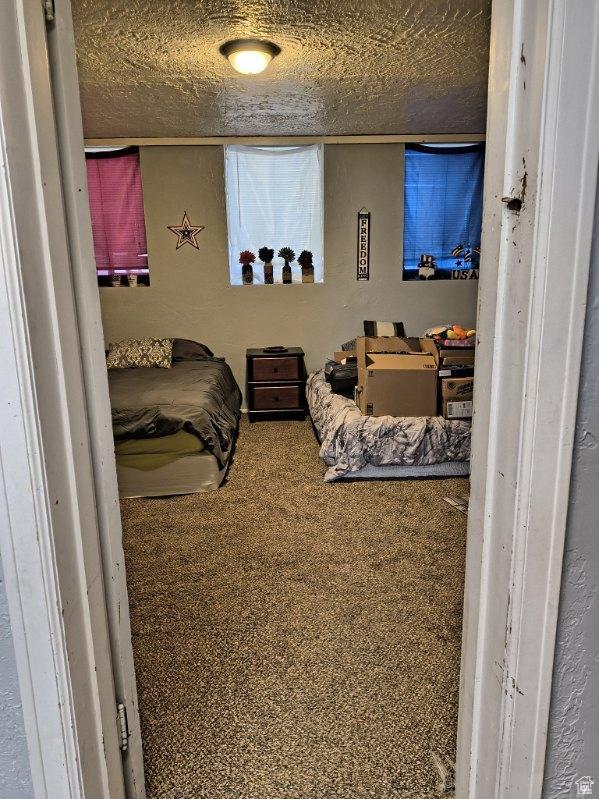 50 W 100 N, Salina, UT 84654 - view of carpeted bedroom