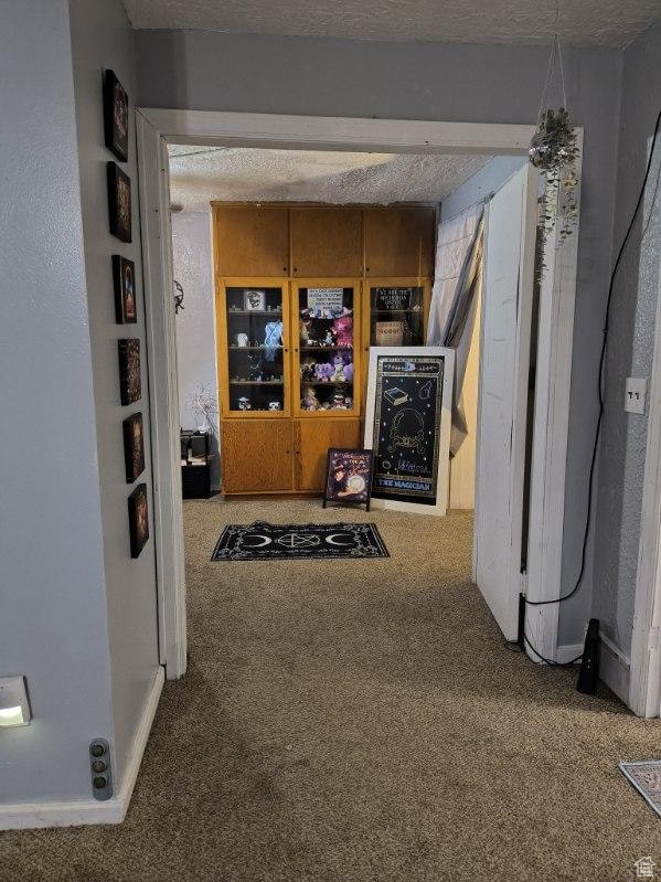 50 W 100 N, Salina, UT 84654 - hall featuring carpet floors and a textured ceiling