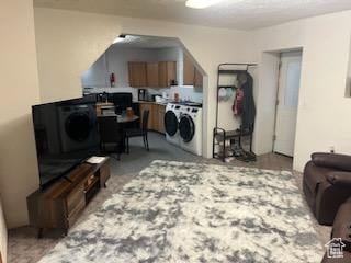 50 W 100 N, Salina, UT 84654 - living room with washer and clothes dryer and carpet