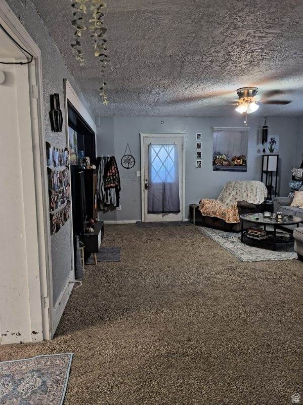 50 W 100 N, Salina, UT 84654 - living room featuring carpet flooring, a ceiling fan, and a textured ceiling