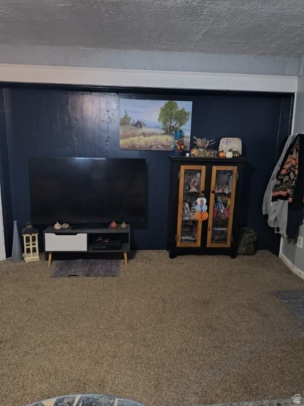 50 W 100 N, Salina, UT 84654 - detailed view of carpet flooring and a textured ceiling