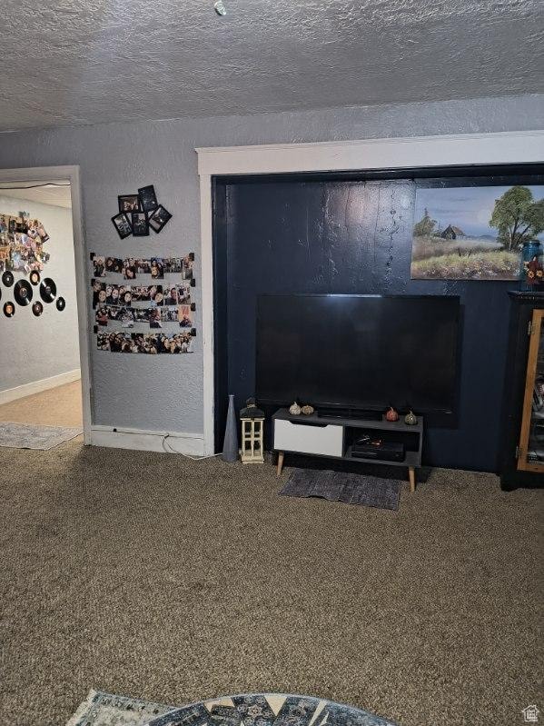 50 W 100 N, Salina, UT 84654 - detailed view of carpet floors