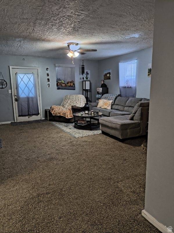 50 W 100 N, Salina, UT 84654 - carpeted living room with healthy amount of natural light and a textured ceiling