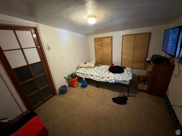 50 W 100 N, Salina, UT 84654 - view of carpeted bedroom