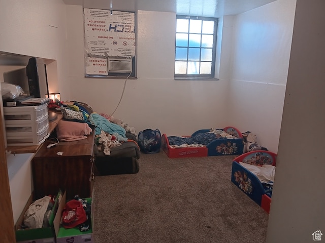 50 W 100 N, Salina, UT 84654 - unfurnished bedroom with carpet floors