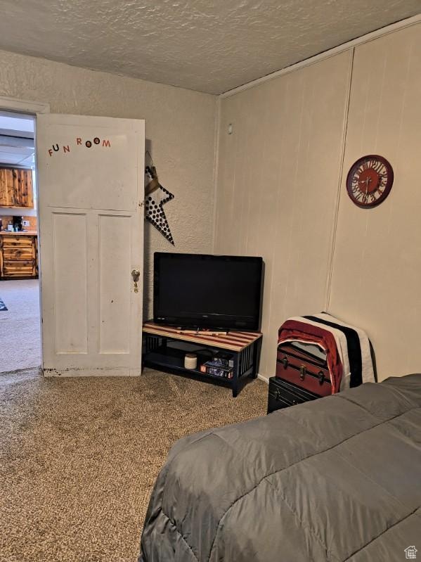 50 W 100 N, Salina, UT 84654 - carpeted bedroom featuring a textured ceiling