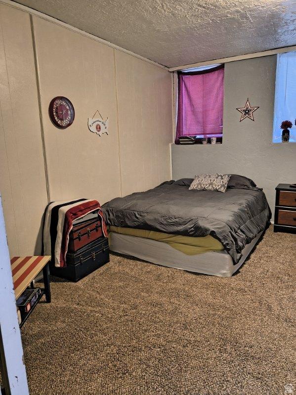 50 W 100 N, Salina, UT 84654 - carpeted bedroom with a textured ceiling