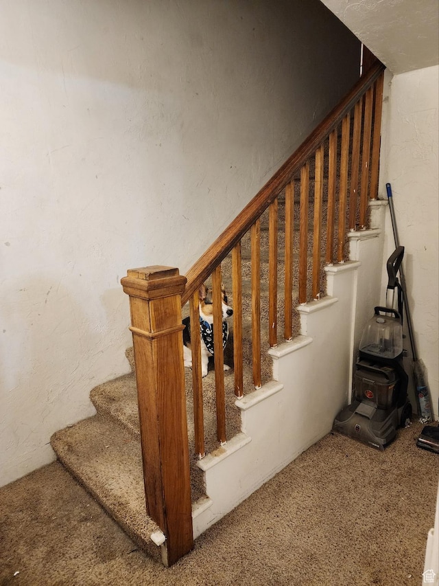 50 W 100 N, Salina, UT 84654 - staircase with a wood stove and carpet floors