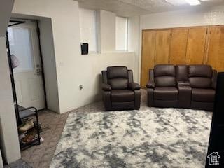50 W 100 N, Salina, UT 84654 - living area featuring carpet floors