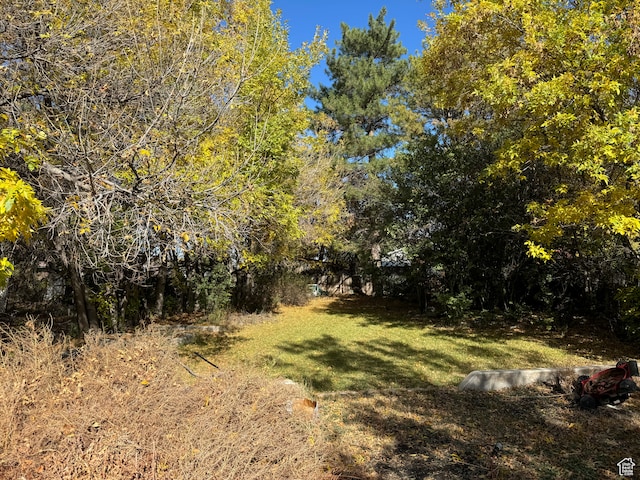 50 W 100 N, Salina, UT 84654 - view of grassy yard