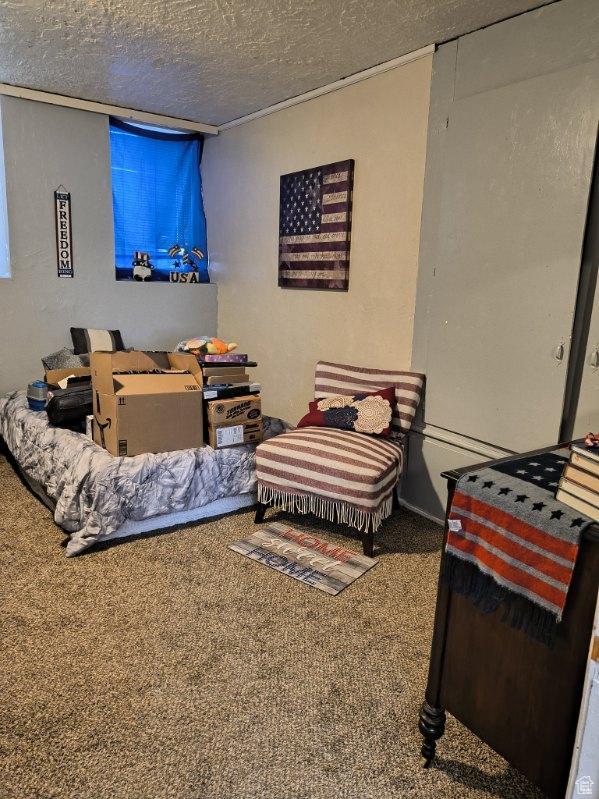 50 W 100 N, Salina, UT 84654 - bedroom featuring carpet floors and a textured ceiling