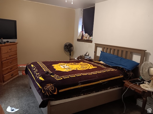 50 W 100 N, Salina, UT 84654 - bedroom with carpet floors