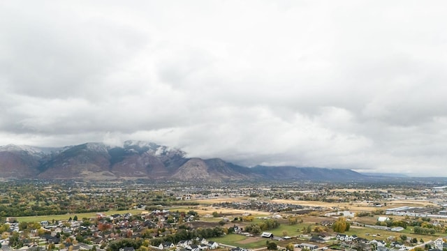 1003 W 3350 N, Pleasant View, UT 84414