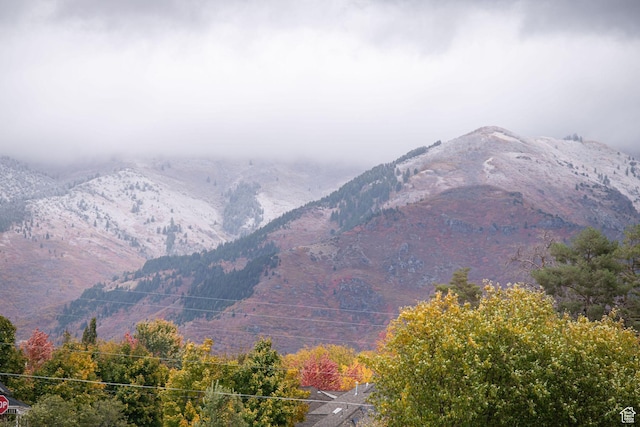 1003 W 3350 N, Pleasant View, UT 84414