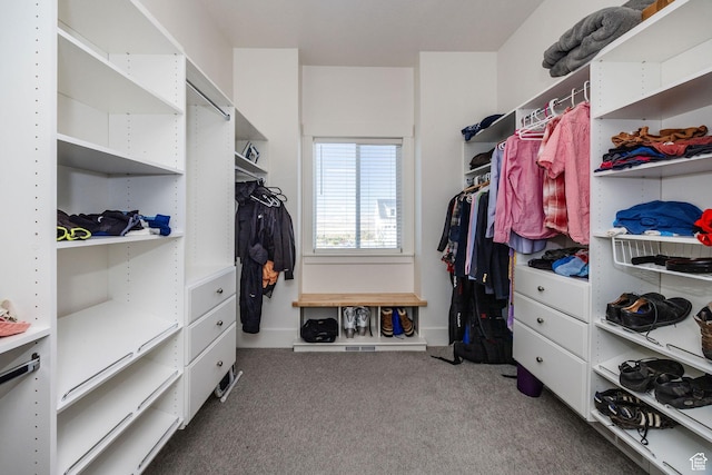 104 S 950 E, Hyde Park, UT 84318 - walk in closet featuring carpet floors