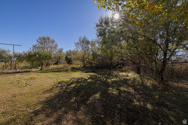 1390 N 500 W, Vernal, UT 84078 - view of yard