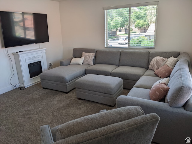 living room featuring carpet floors