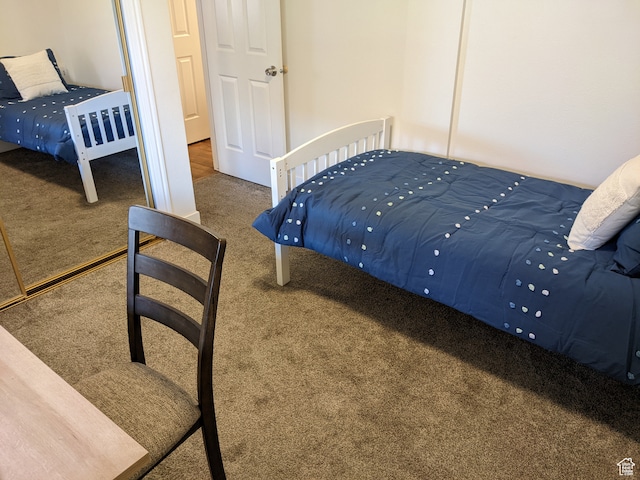 bedroom with a closet and carpet