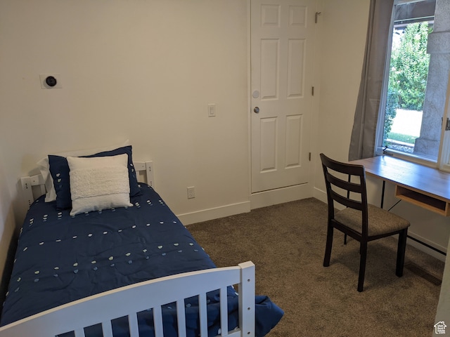 bedroom featuring multiple windows and dark carpet