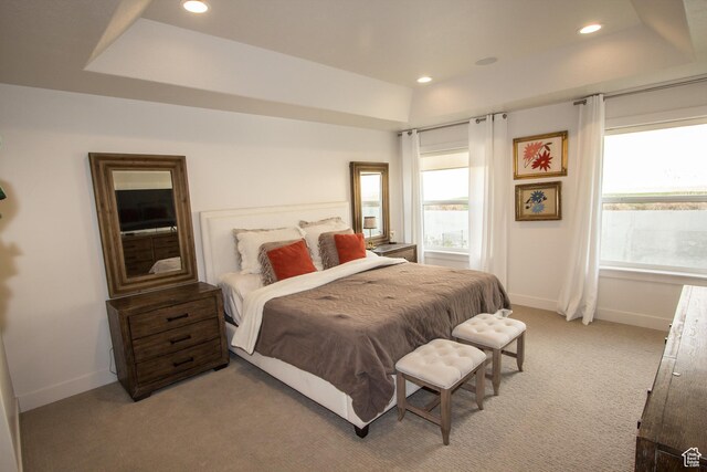 520 N 900 E, Hyde Park, UT 84318 - bedroom featuring light carpet, baseboards, a tray ceiling, and recessed lighting
