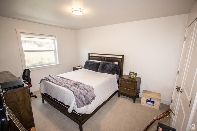 520 N 900 E, Hyde Park, UT 84318 - bedroom with carpet and baseboards
