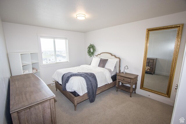 520 N 900 E, Hyde Park, UT 84318 - bedroom with light carpet and baseboards
