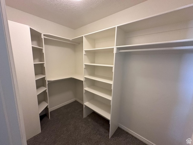642 W 1150th St S, Provo, UT 84601 - walk in closet featuring dark colored carpet