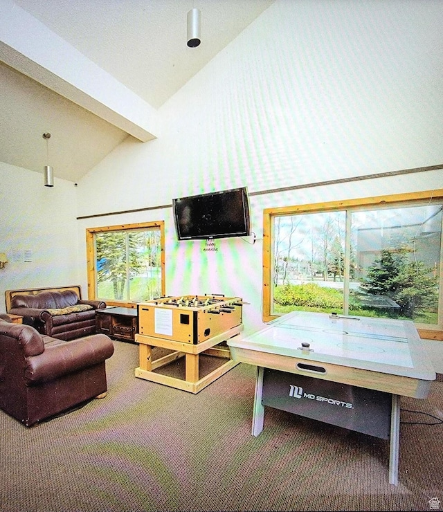 385 S Vasels Rd Unit 21, Brian Head, UT 84719 - game room with vaulted ceiling, carpet, and healthy amount of natural light