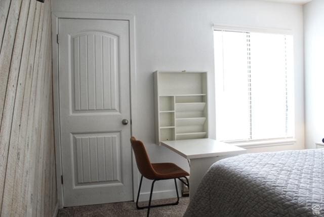 385 S Vasels Rd Unit 21, Brian Head, UT 84719 - carpeted bedroom featuring multiple windows