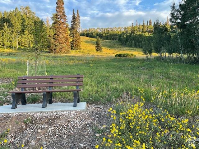 385 S Vasels Rd Unit 21, Brian Head, UT 84719 - view of home's community