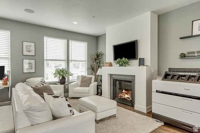 11211 S Clear Blue Dr, South Jordan, UT 84009 - living area with wood finished floors, a glass covered fireplace, recessed lighting, and baseboards