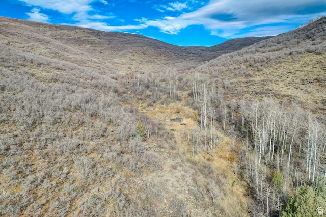13425 N Slalom Run Dr Unit 16, Heber City, UT 84032