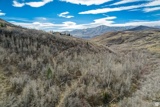 13425 N Slalom Run Dr Unit 16, Heber City, UT 84032