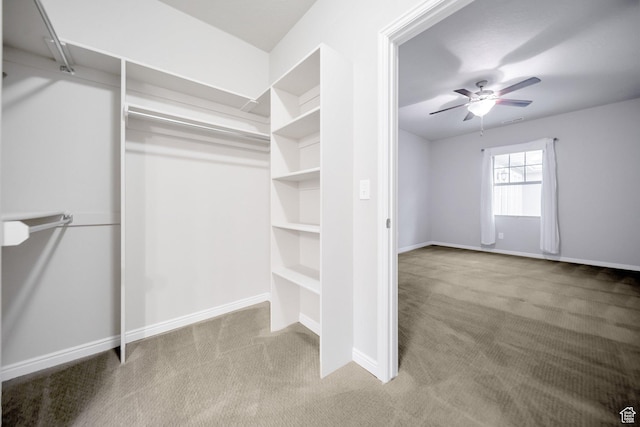 walk in closet featuring carpet flooring and ceiling fan