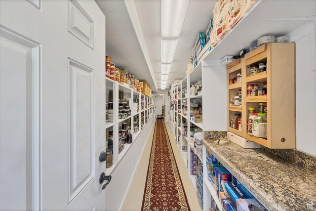301 S Rachel Ln, New Harmony, UT 84757 - view of storage area