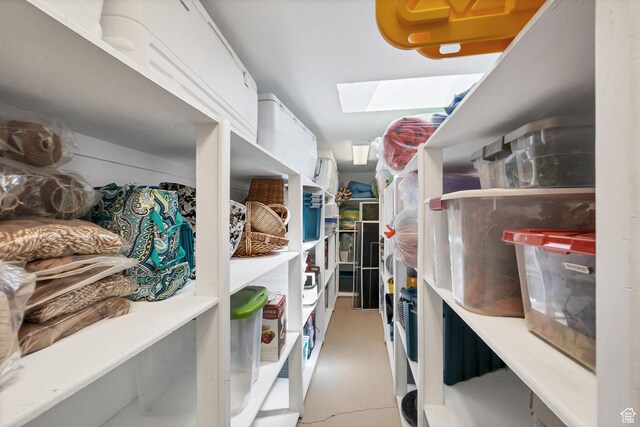 301 S Rachel Ln, New Harmony, UT 84757 - storage room with a skylight