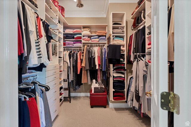 301 S Rachel Ln, New Harmony, UT 84757 - spacious closet featuring carpet flooring