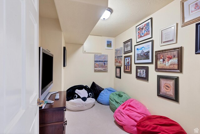 301 S Rachel Ln, New Harmony, UT 84757 - view of bedroom