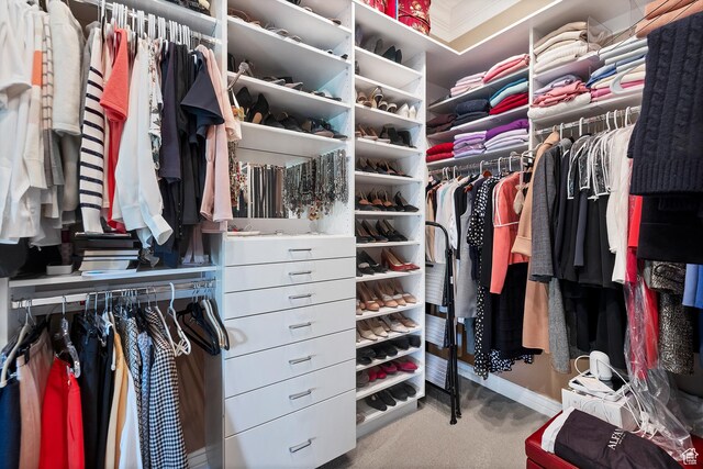 301 S Rachel Ln, New Harmony, UT 84757 - walk in closet with carpet