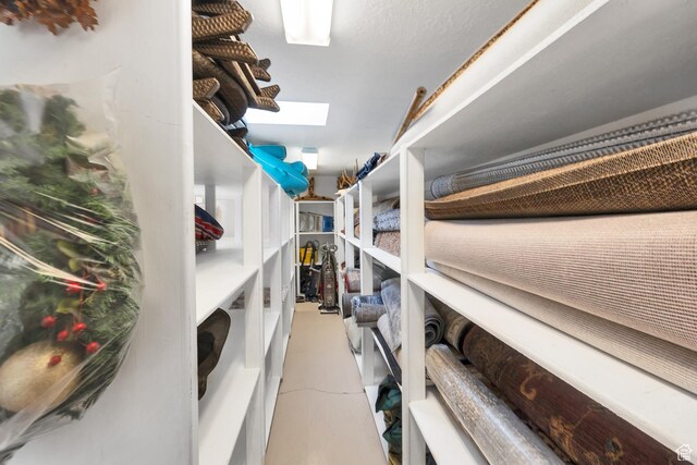 301 S Rachel Ln, New Harmony, UT 84757 - storage area featuring a skylight