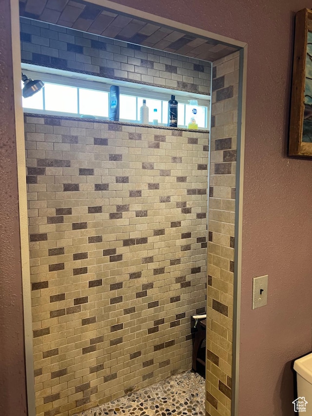 295 N 200 W, Monroe, UT 84754 - bathroom featuring plenty of natural light