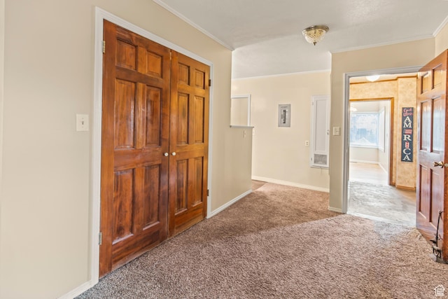 455 N 500 W, Richfield, UT 84701 - hall with carpet flooring, crown molding, and baseboards