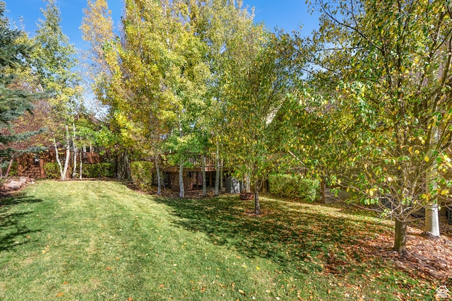 3025 Lower Saddleback Rd Unit 13, Park City, UT 84098 - view of yard