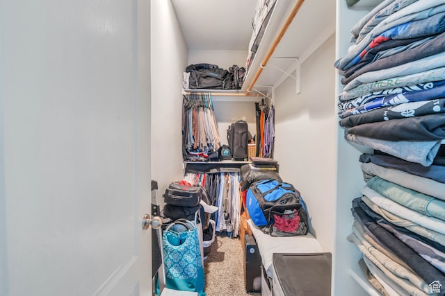 1122 Ironwood Rd, Erda, UT 84074 - walk in closet featuring carpet