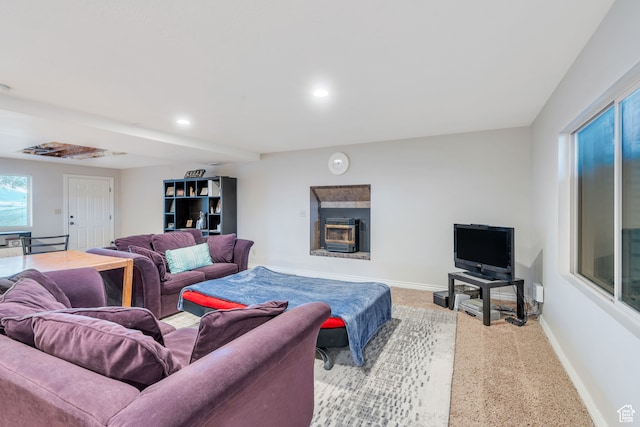 1122 Ironwood Rd, Erda, UT 84074 - view of carpeted living room