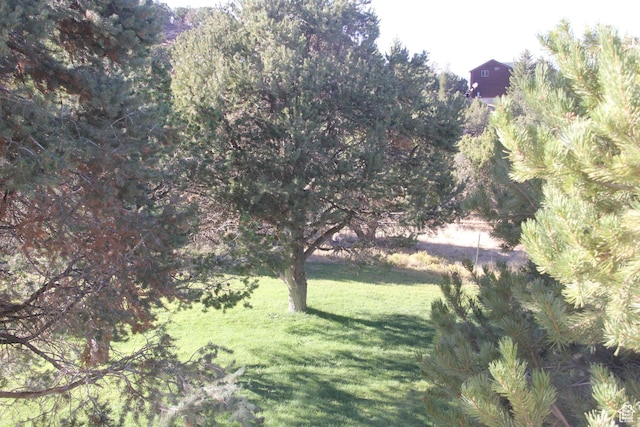 1627 W 950 S, Parowan, UT 84761 - view of grassy yard