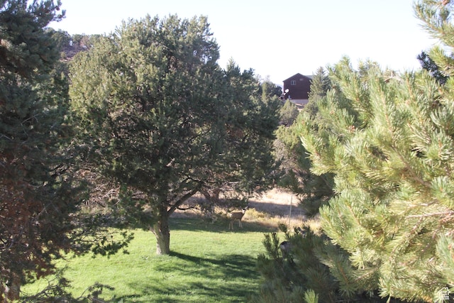 1627 W 950 S, Parowan, UT 84761 - view of grassy yard