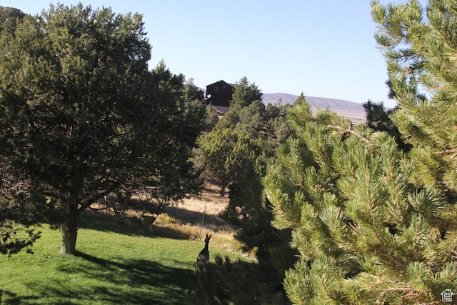 1627 W 950 S, Parowan, UT 84761 - view of nature with a mountain backdrop