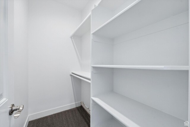 967 W Yamada Ct S, Syracuse, UT 84075 - spacious closet with dark colored carpet